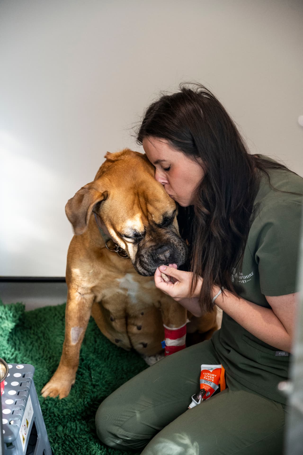 Vet nurse kissing a Bulldog patient