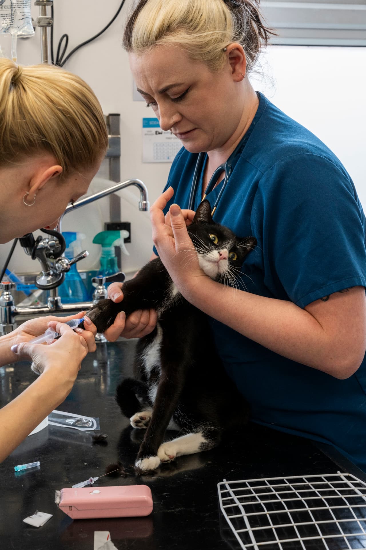 Vet holding a cat while a nurse prepares an injection